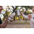 Спортивна пляшка для води Klean Kanteen Classic Sport Cap 800 мл Pepper Ridge