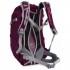Рюкзак жіночий Lowe Alpine AirZone Z ND 18 (Plum Wine/Magenta) Рюкзак жіночий Lowe Alpine AirZone Z ND 18 (Plum Wine/Magenta)