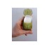 Шампунь Sea To Summit Trek & Travel Pocket Body Wash 50 Leaf Шампунь Sea To Summit Trek & Travel Pocket Body Wash 50 Leaf